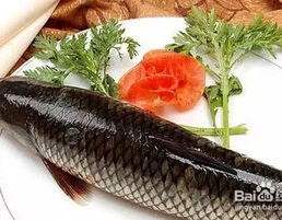 网红灌灌鱼,网红美食背后的故事与魅力